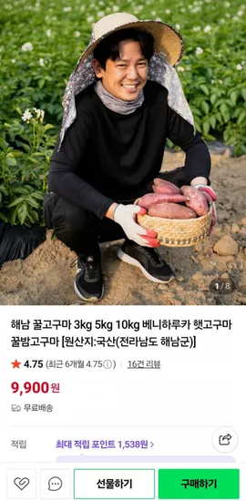 해남 꿀고구마 3kg 대