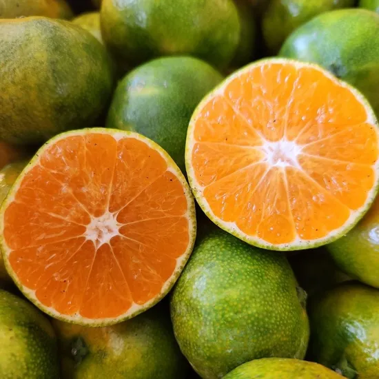 제주직송 조생 노지귤 3kg