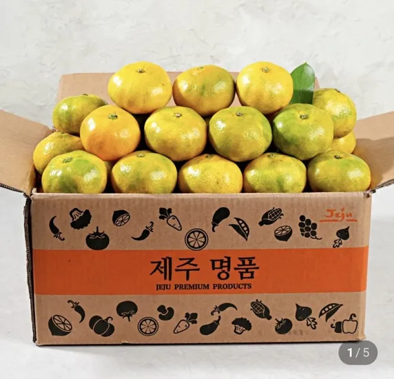 극조생 노지감귤 2.5kg 중대과