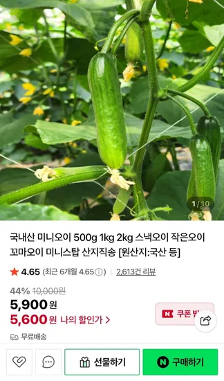 국내산 미니오이 500g