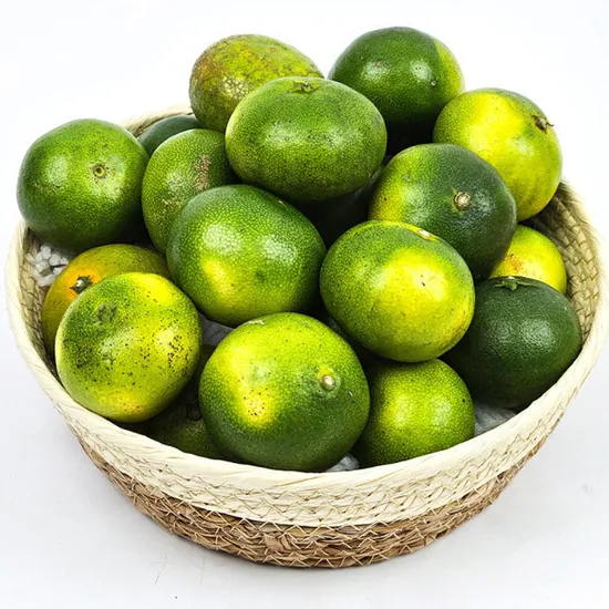 제주 노지 감귤 9kg 극조생 랜덤과