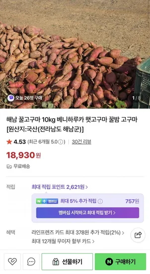 해남 꿀고구마