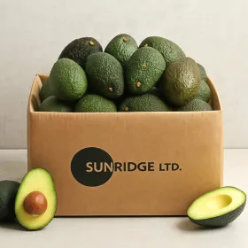 아보카도 중대과 200g 0과