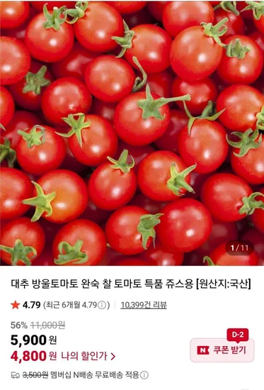 대추 방울토마토 1~3번과 1kg