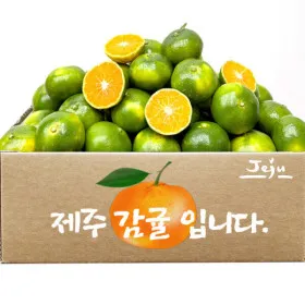 노지감귤 5kg 로얄과