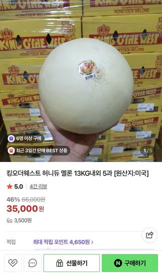 허니듀 멜론 13kg 내외 5과
