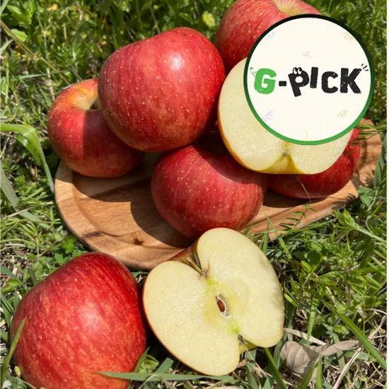 경북 청송 홍로 꿀사과 3kg 소과