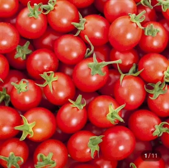 네이버멤버십_ 대추 방울토마토, 몬스터크랩, 냉장 닭안심살, 마니커 미니돈까스, 지퍼락 지퍼백 등 (다양/무료)