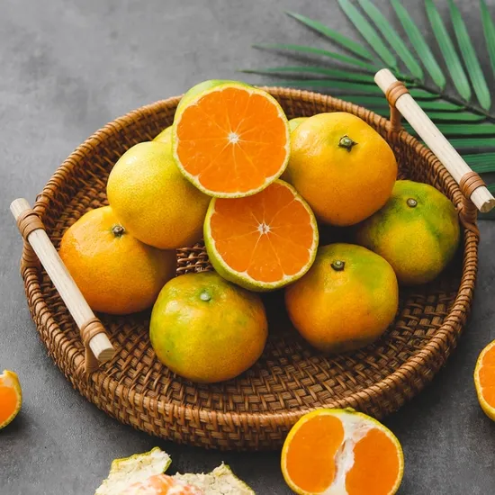 노지감귤 로얄과 4.5kg