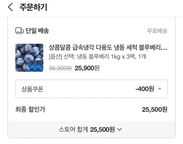 냉동 블루베리 칠레산 1kg