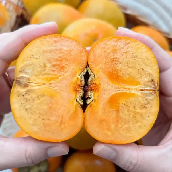 경남 햇단감 5kg