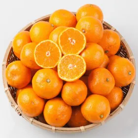 노지 감귤 9kg 대과