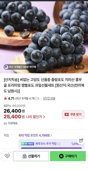 씨없는 고당도 신품종 충랑포도 지리산 캠벨포도 선물세트