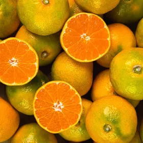 노지감귤 4.5kg 로얄소과 2s s