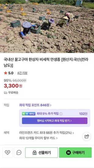 국내산 꿀고구마 900g