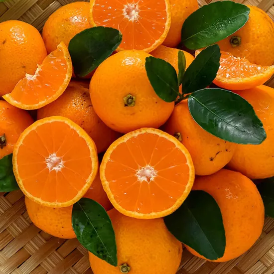 스위트유라 감귤 4kg 중대과