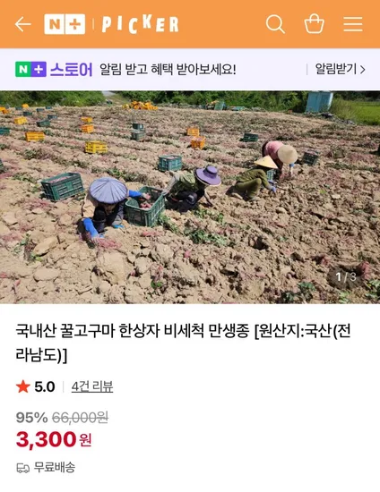 국내산 꿀고구마 한상자 비세척 만생종