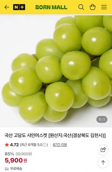 국산 고당도 샤인머스켓