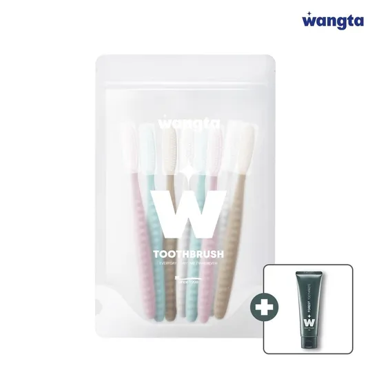 왕타 스톤 파우치 칫솔 14개입 포레스트 치약 100g