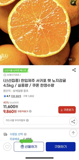 제주 한입 노지감귤 4.5kg