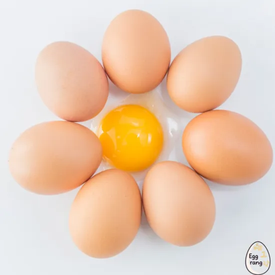 동물복지 유정란 60구