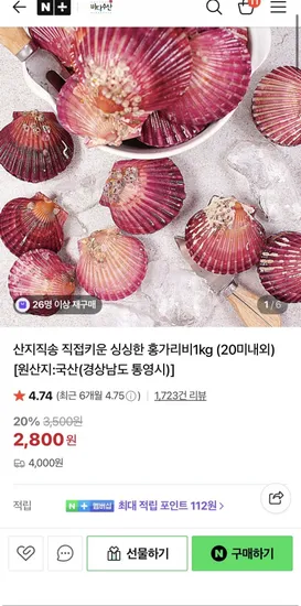홍가리비 1kg 20미내외