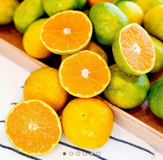 효돈위미 노지감귤 5kg