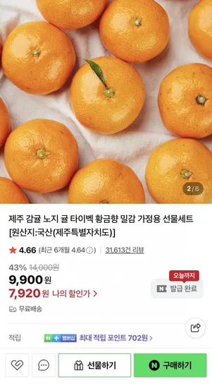 제주 노지감귤 가정용 대과 5kg