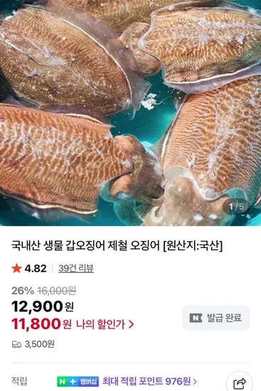 국내산 생물 갑오징어 1kg 4~7미