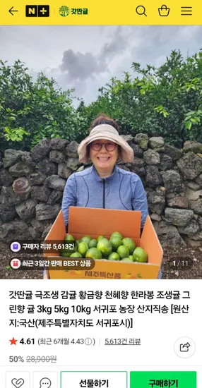 제주산 극조생 감귤 10kg