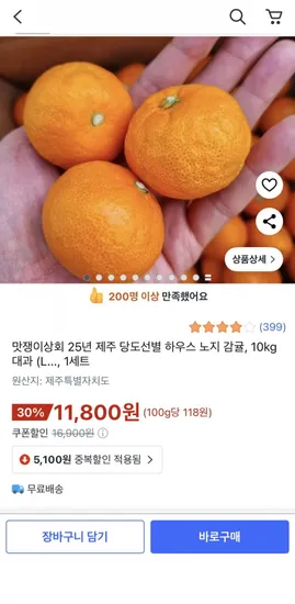제주 당도선별 하우스 노지 감귤 10kg 대과