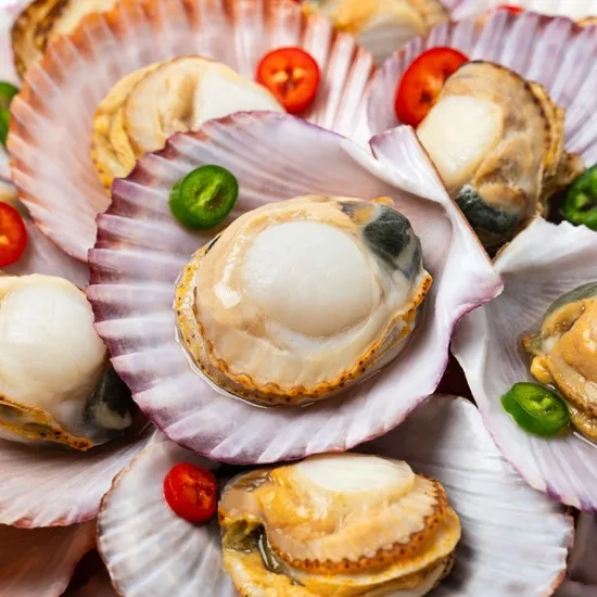 홍가리비 5kg 20미