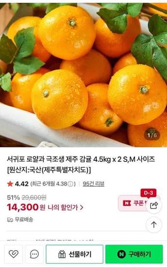 극조생 제주 감귤 4.5kg x 2