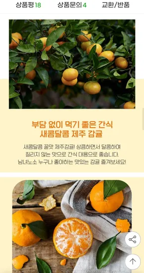 서귀포 노지감귤 9kg