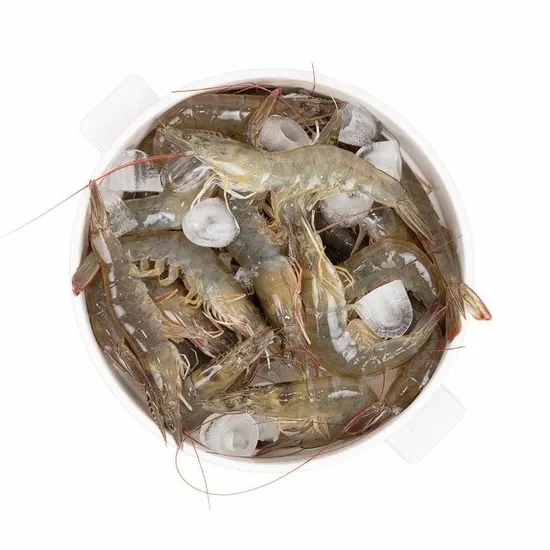 참수산 활새우 1kg 26~30미