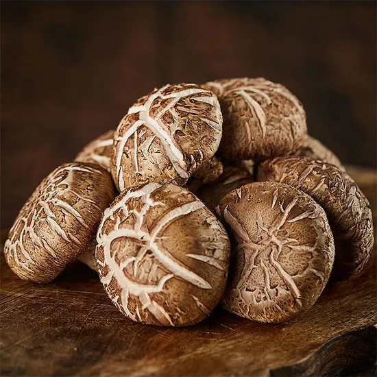 생표고 버섯 1kg