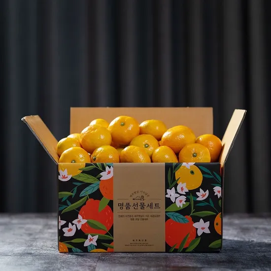 제주 극조생 노지감귤 4.5kg 소과 2s