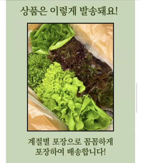 유러피안샐러드 4종 1kg