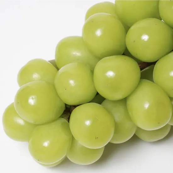 국산 고당도 샤인머스켓 1.4kg