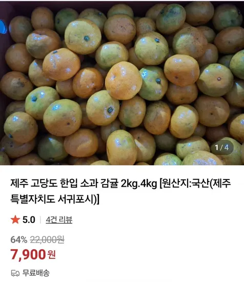 제주 감귤 2kg 소과