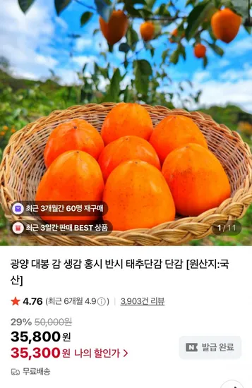 대봉감 5kg 특