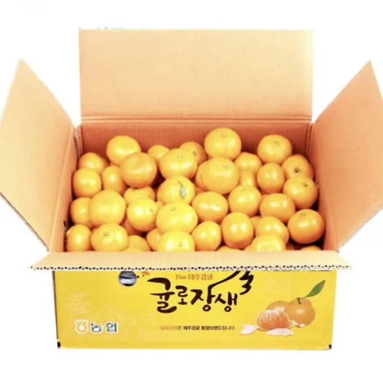 제주시농협 귤로장생 햇 노지감귤 4.5kg