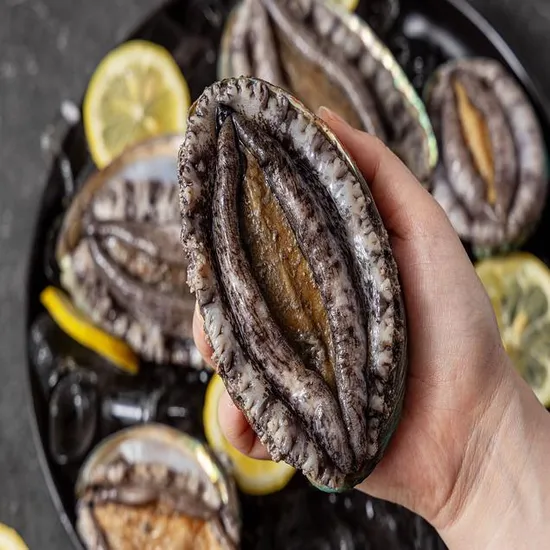 활전복 6-8미 1kg