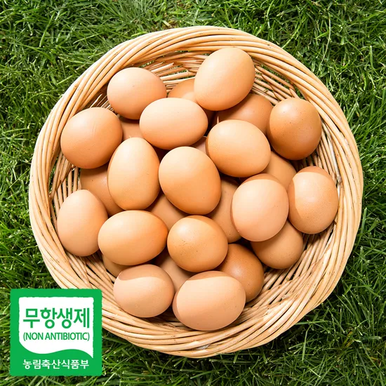 무항생제 생란 특란 20구