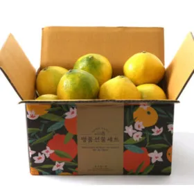 황금향 4.5kg 소과 가정용