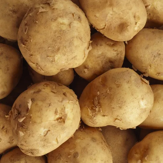 강원도 햇 수미감자 3kg