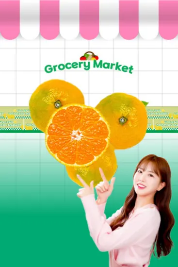 당도보장 노지 감귤 4.5kg