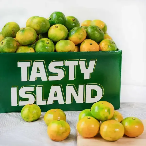 햇조생감귤 로얄과 4.5kg