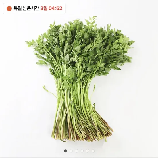 국내산 한재 생미나리 00gX2단 특품