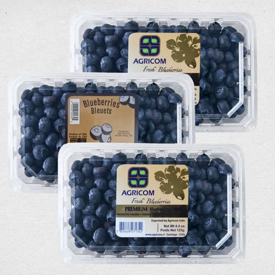 칠레산 생블루베리 310g 3팩